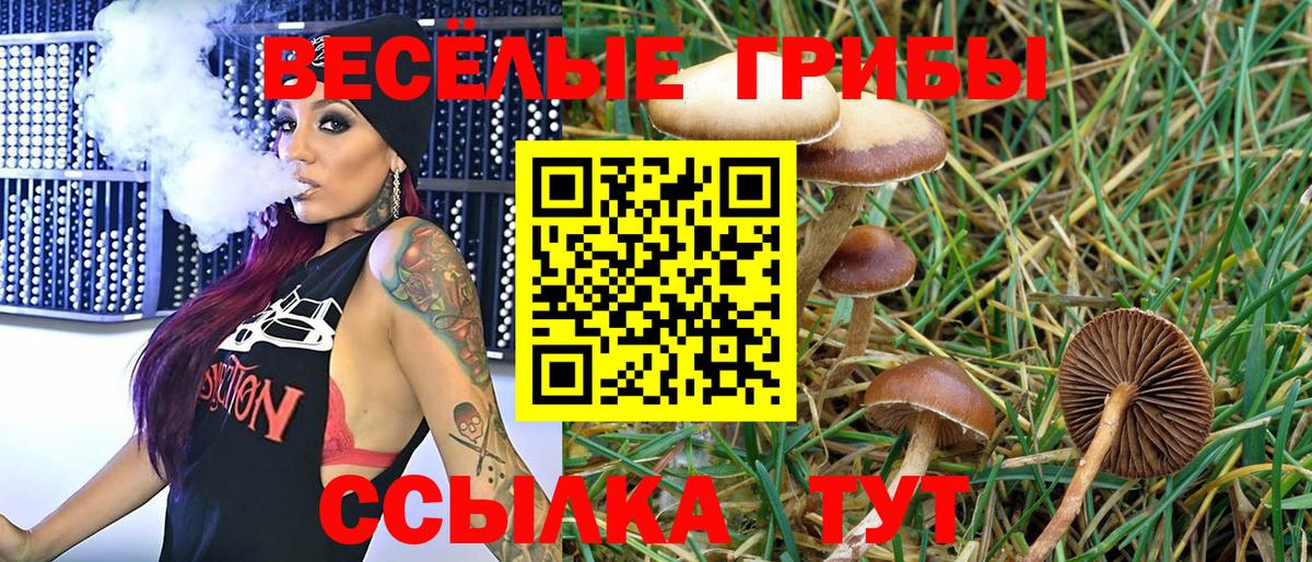 даркнет сайт  Галлюциногенные грибы Psilocybe  Псилоцибиновые грибы прущие грибы  Вход с VPN  Чебаркуль 